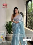 Stone organza Saree