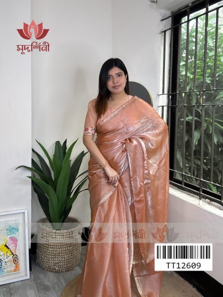 Stone organza Saree