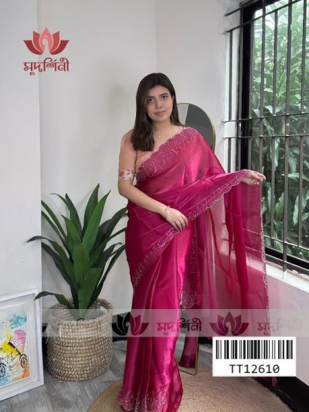 Stone organza Saree